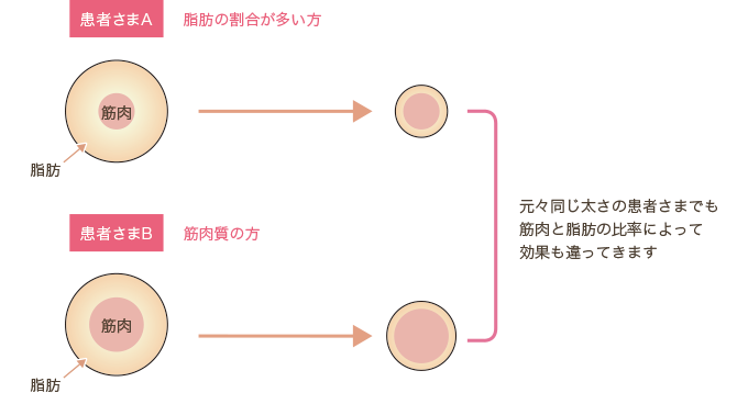 脂肪の要素が大きい方と筋肉の要素が大きい方の比較