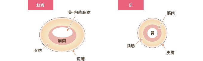 脂肪溶解注射をしたが効果が分からない 効果がない 美容整形で失敗しないための秘訣 水の森美容外科