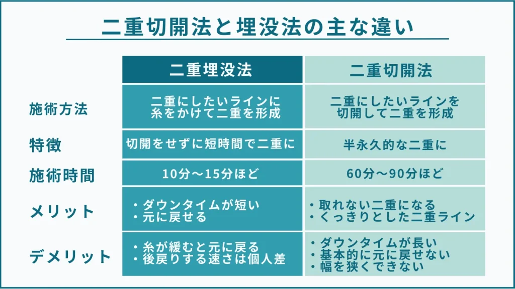 二重整形の違いを紹介した図