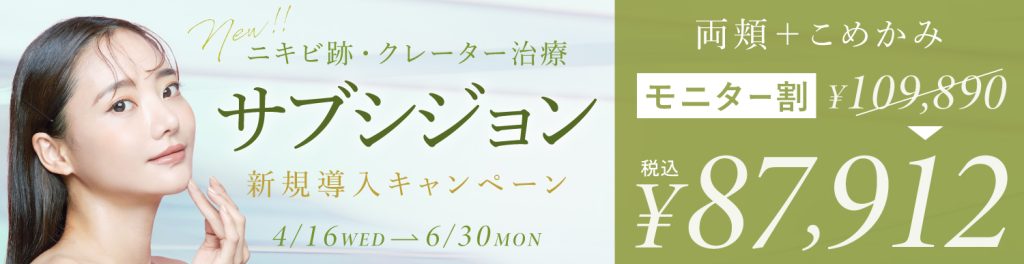 サブシジョンキャンペーン