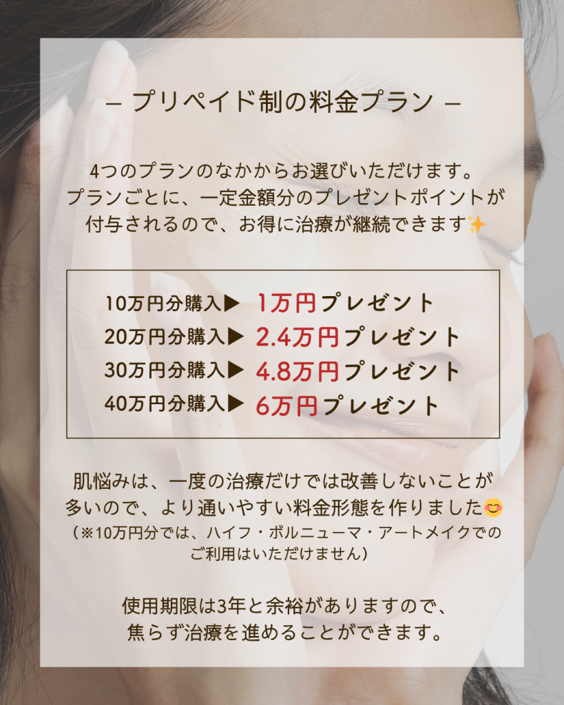 プリペイド制度の料金プラン