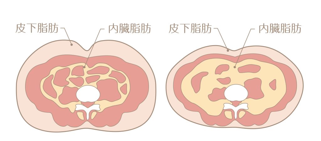脂肪の種類