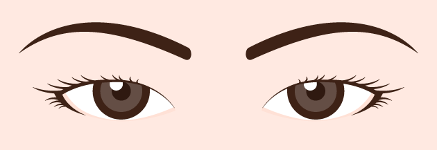 一重まぶたイラスト