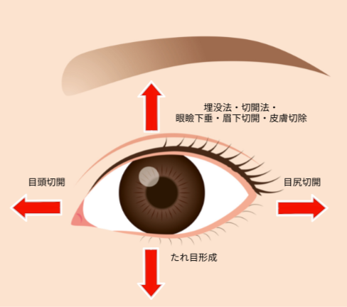 目を大きくする方法イメージイラスト