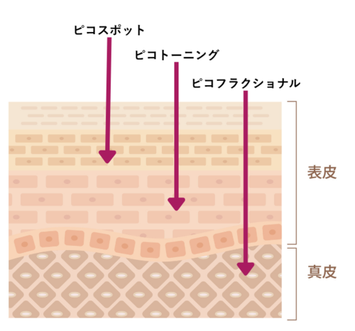 アプローチできる層の比較