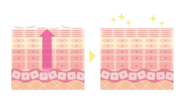 ターンオーバーの説明