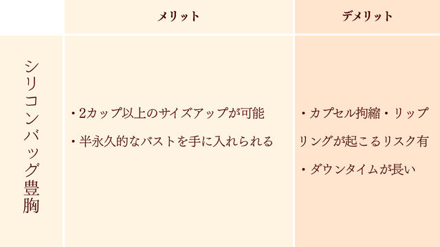 シリコンバッグ豊胸の値段と特徴
