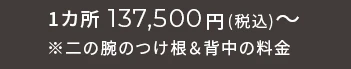 1カ所 137,500円(税込)～※二の腕のつけ根＆背中の料金