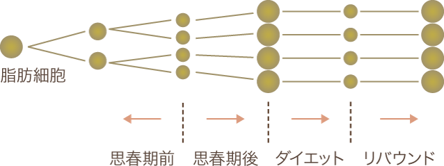 違いその①脂肪吸引はリバウンドしない ダイエットの場合