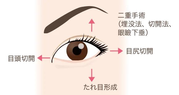 目を大きくしたい