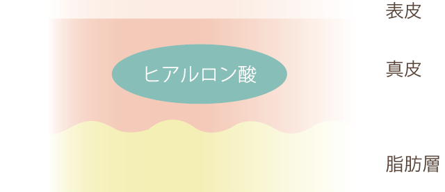 ヒアルロン酸でボリュームアップ