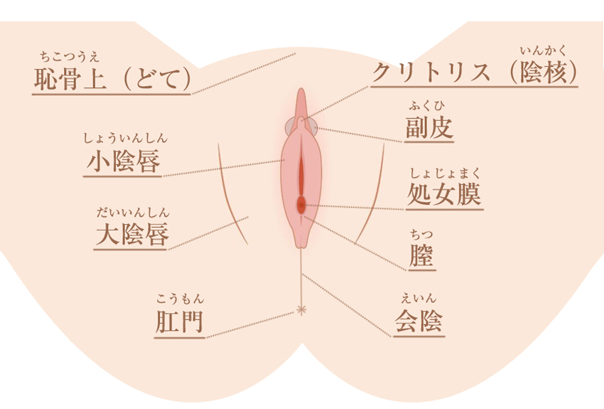 しょう いん しん 痛い