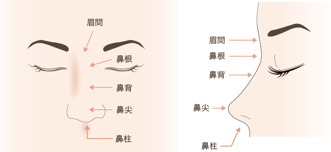 鼻の名称