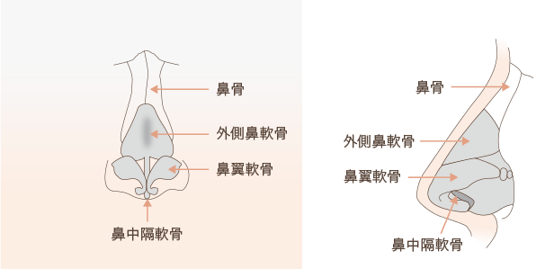 鼻 小鼻整形 水の森美容外科 公式