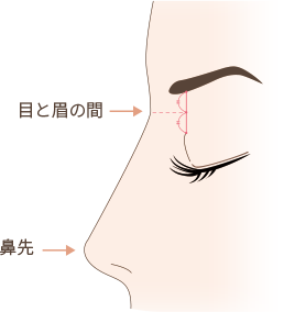理想の鼻の高さ